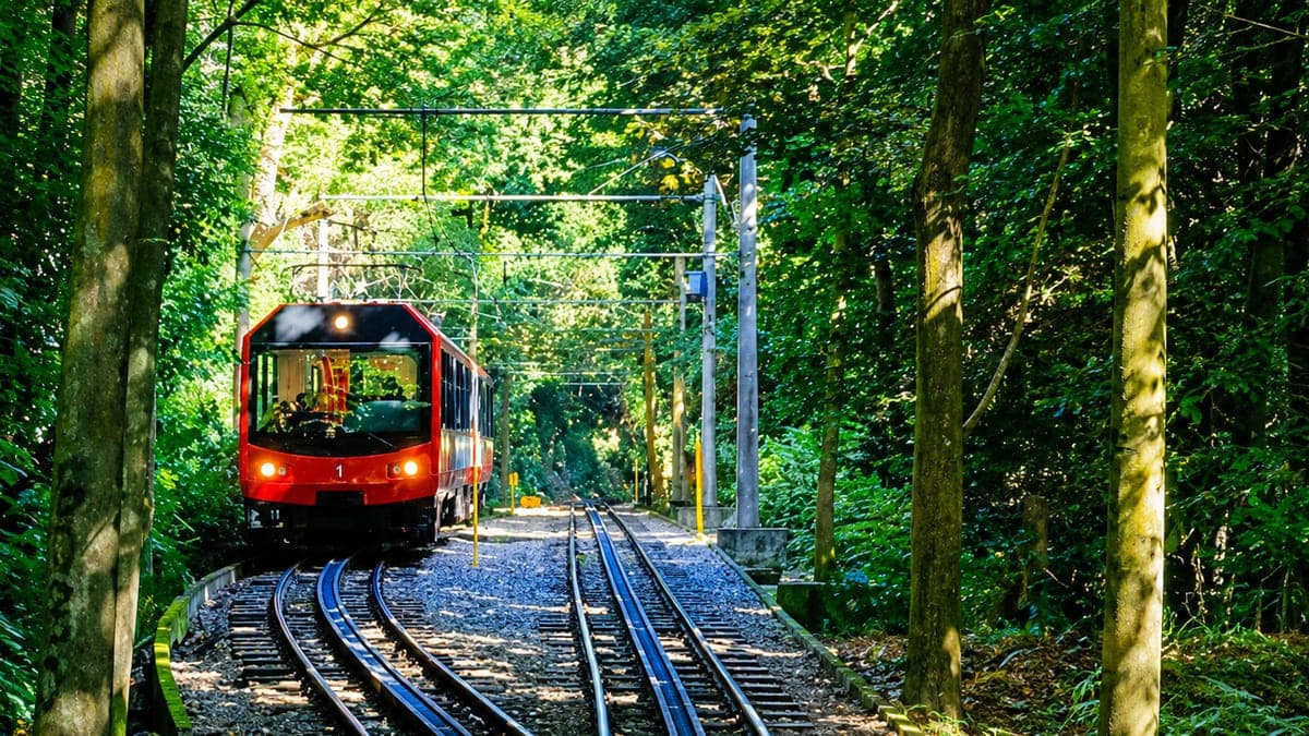 RESERVA PARA GRUPOS DE TURISMO